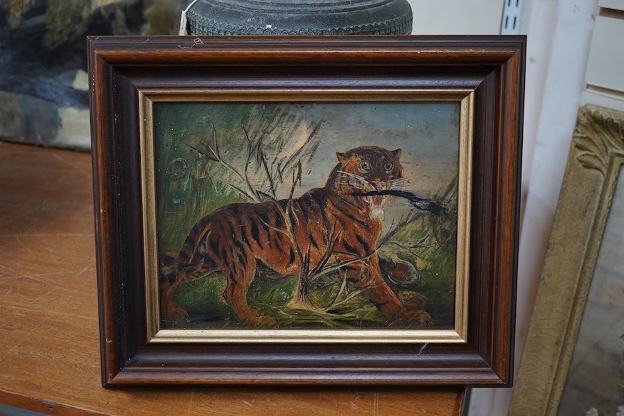 Late 19th / early 20th century, naive oil on panel, Study of a tiger, indistinctly signed lower left, A Ten...., 20 x 26cm. Condition - poor